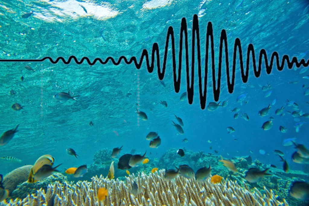 Beneath the Waters, The Key to Predicting Earthquakes May Surface